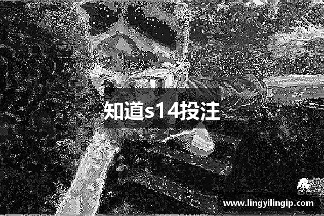 知道s14投注
